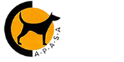 Dog Shelter Javea | Charity | Second Hand